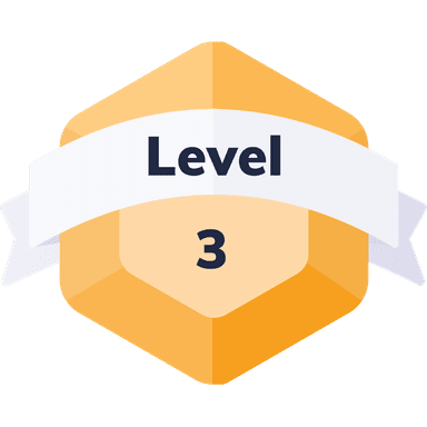 Level 3