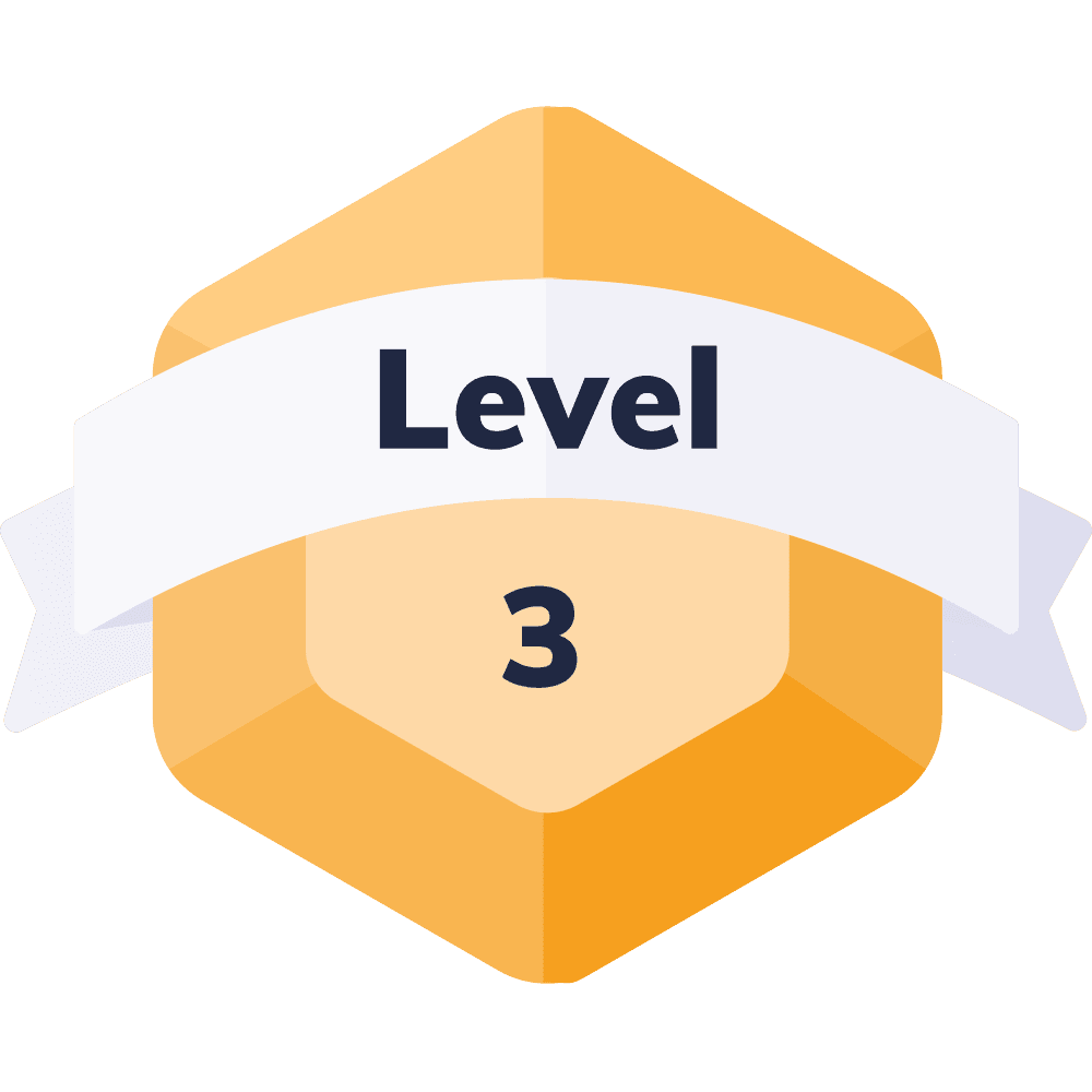 Level 3