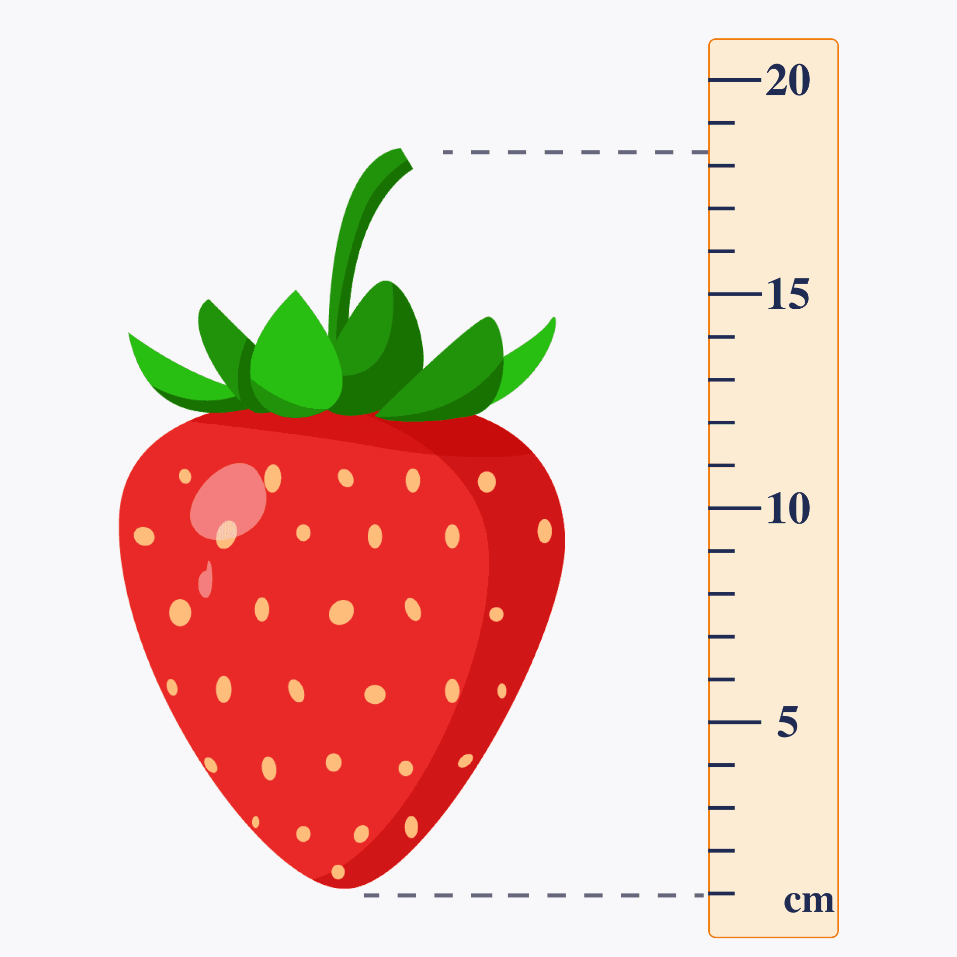 Measurement